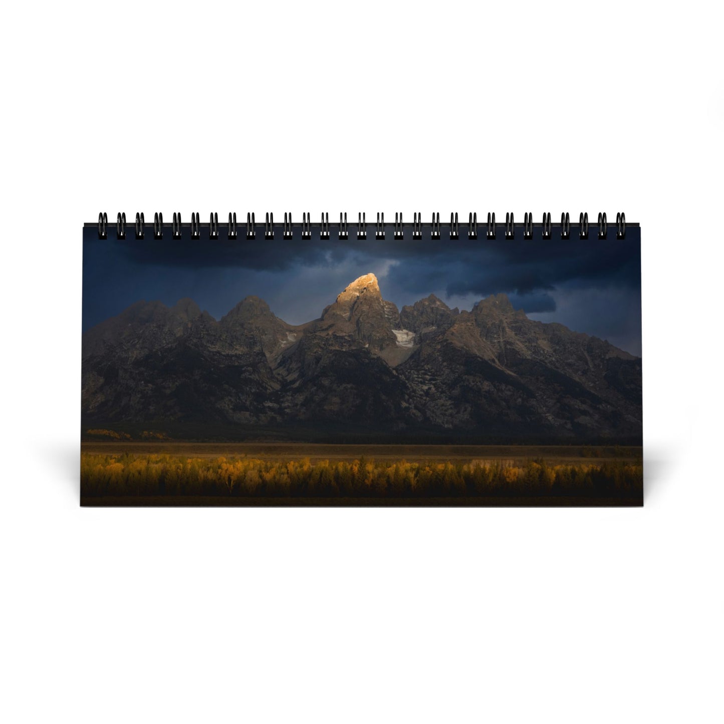 IN SEARCH OF WILD NATURE & WILDLIFE 2025 Desk Calendars