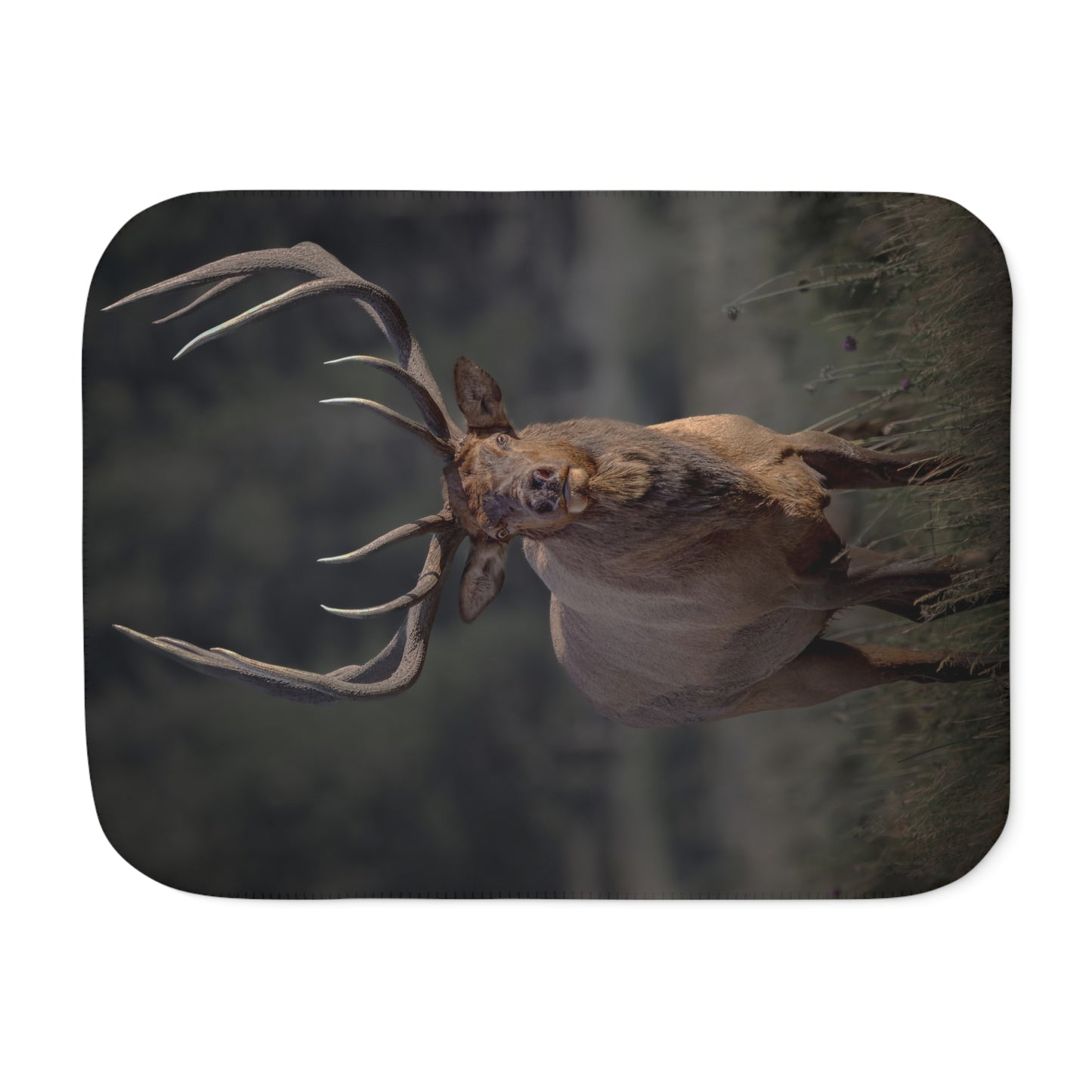 "ATTENTION GETTER" BULL ELK - SHERPA BLANKET