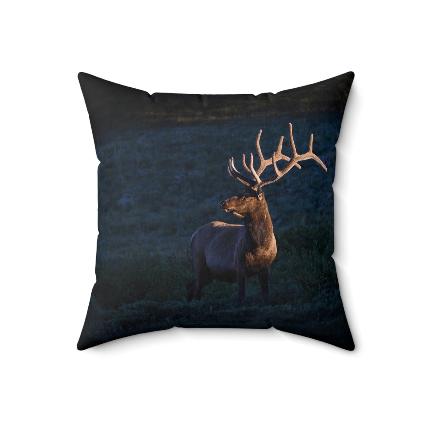 "LIGHT BEAM" Bull Elk Photo Pillow