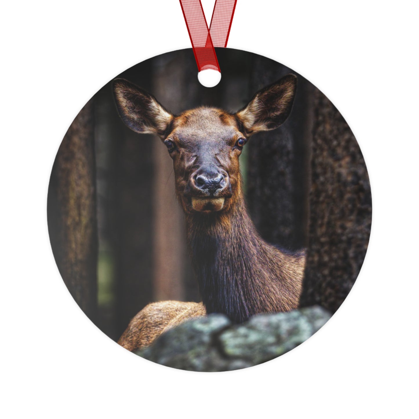 "Lady of the Woods" Cow Elk - Metal Christmas Tree Ornament