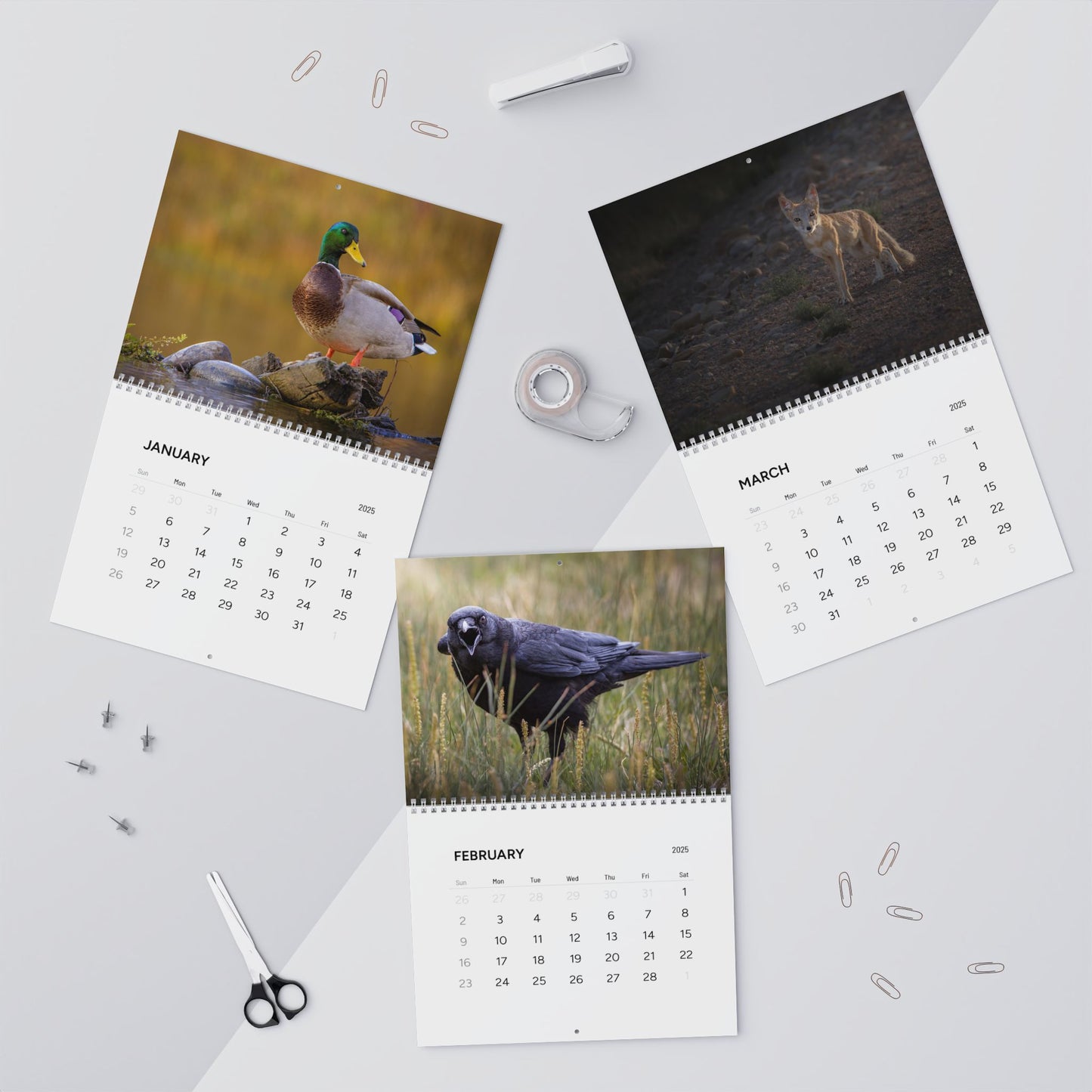 IN SEARCH OF WILD NATURE & WILDLIFE 2025 Wall Calendars