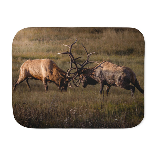 "LOCKED IN LIGHT" BULL ELK - SHERPA BLANKET