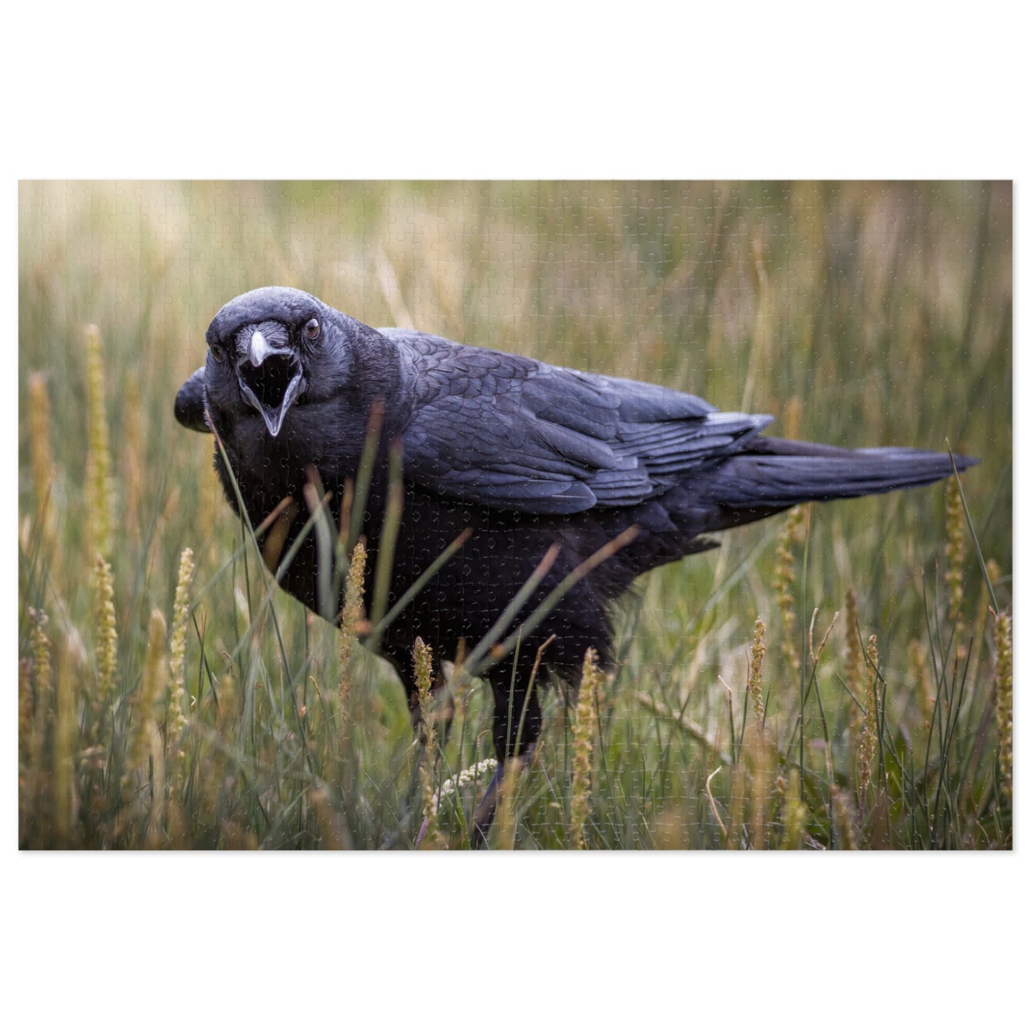 "SCAVENGER CALL" RAVEN - PUZZLE