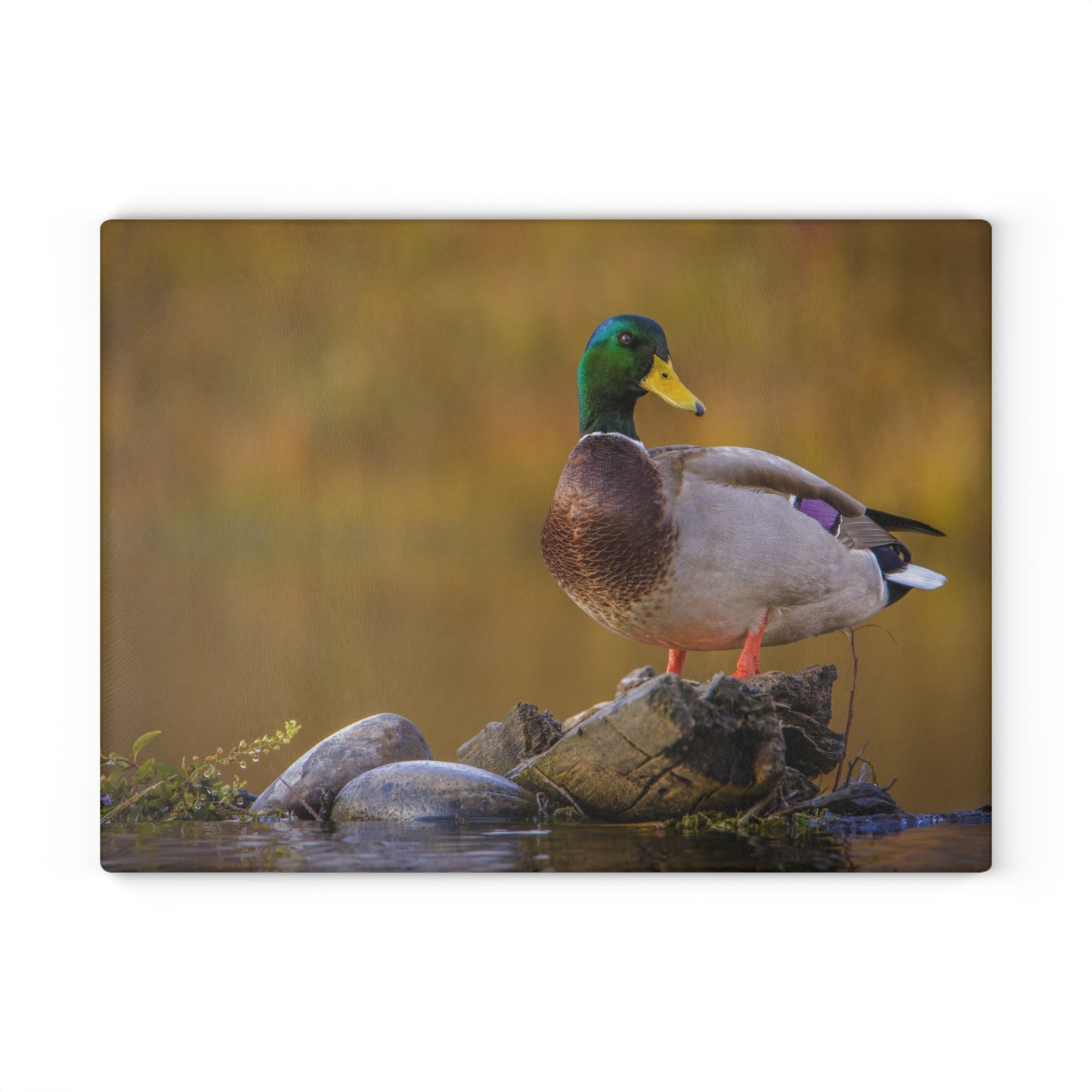 SNAKE RIVER DRAKE Glass Cutting Board