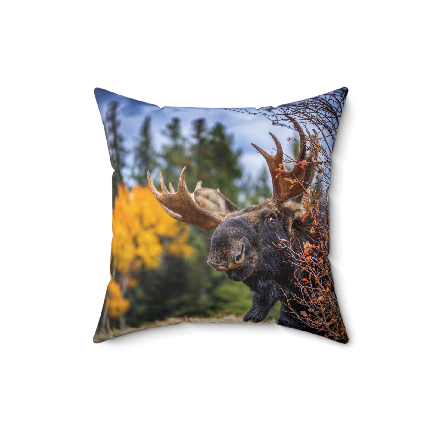 "PEEK A MOOSE" Bull Moose Photo Pillow