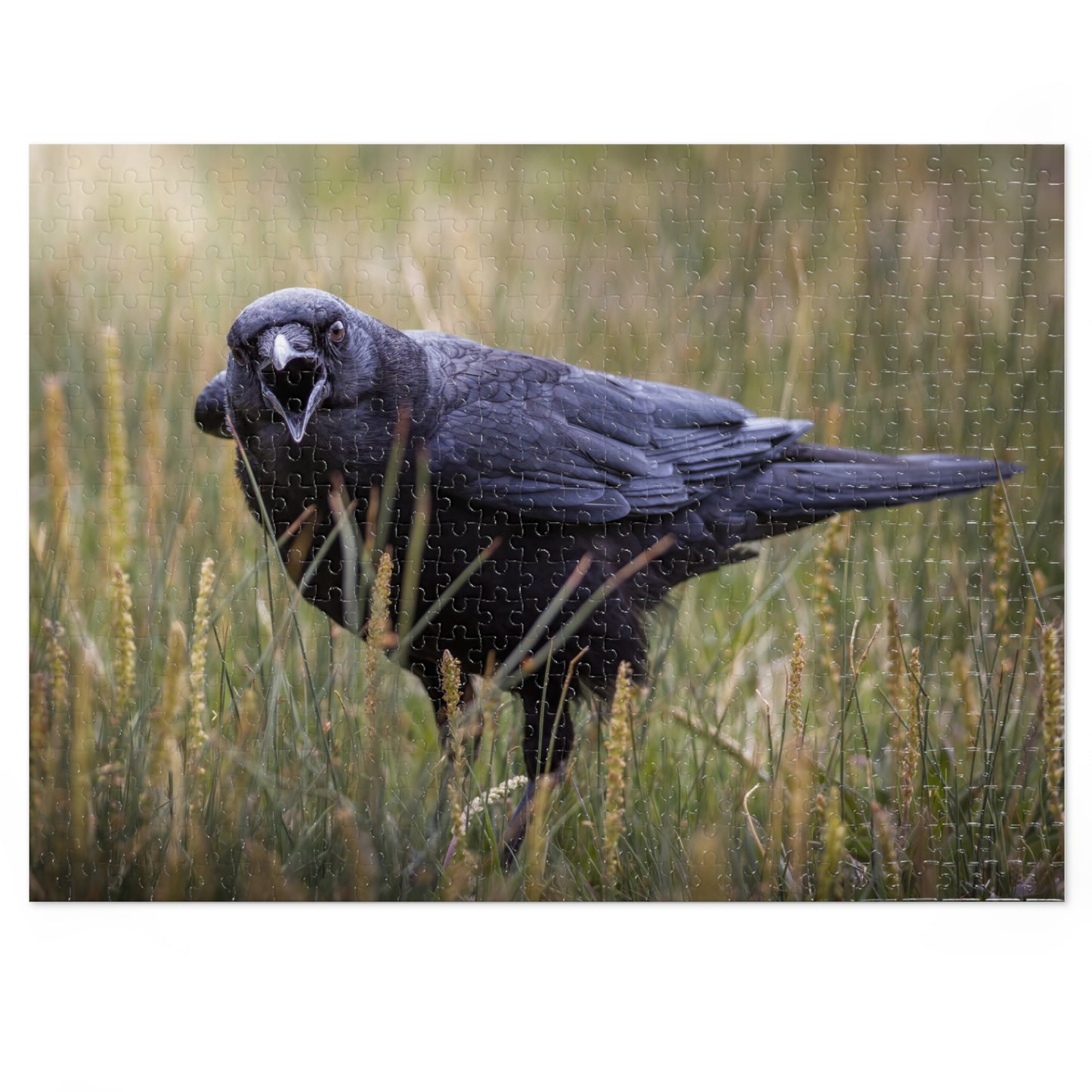 "SCAVENGER CALL" RAVEN - PUZZLE