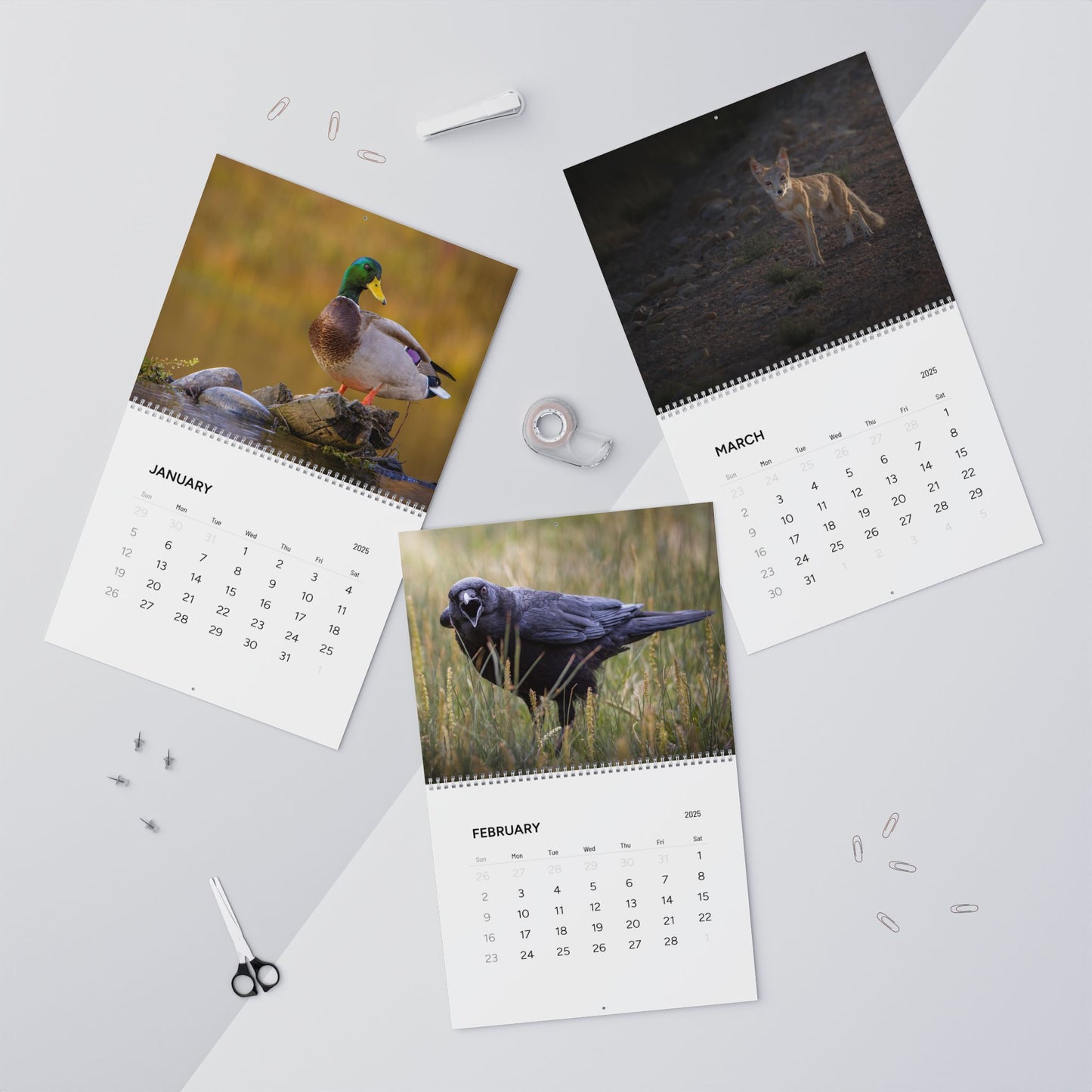 IN SEARCH OF WILD NATURE & WILDLIFE 2025 Wall Calendars