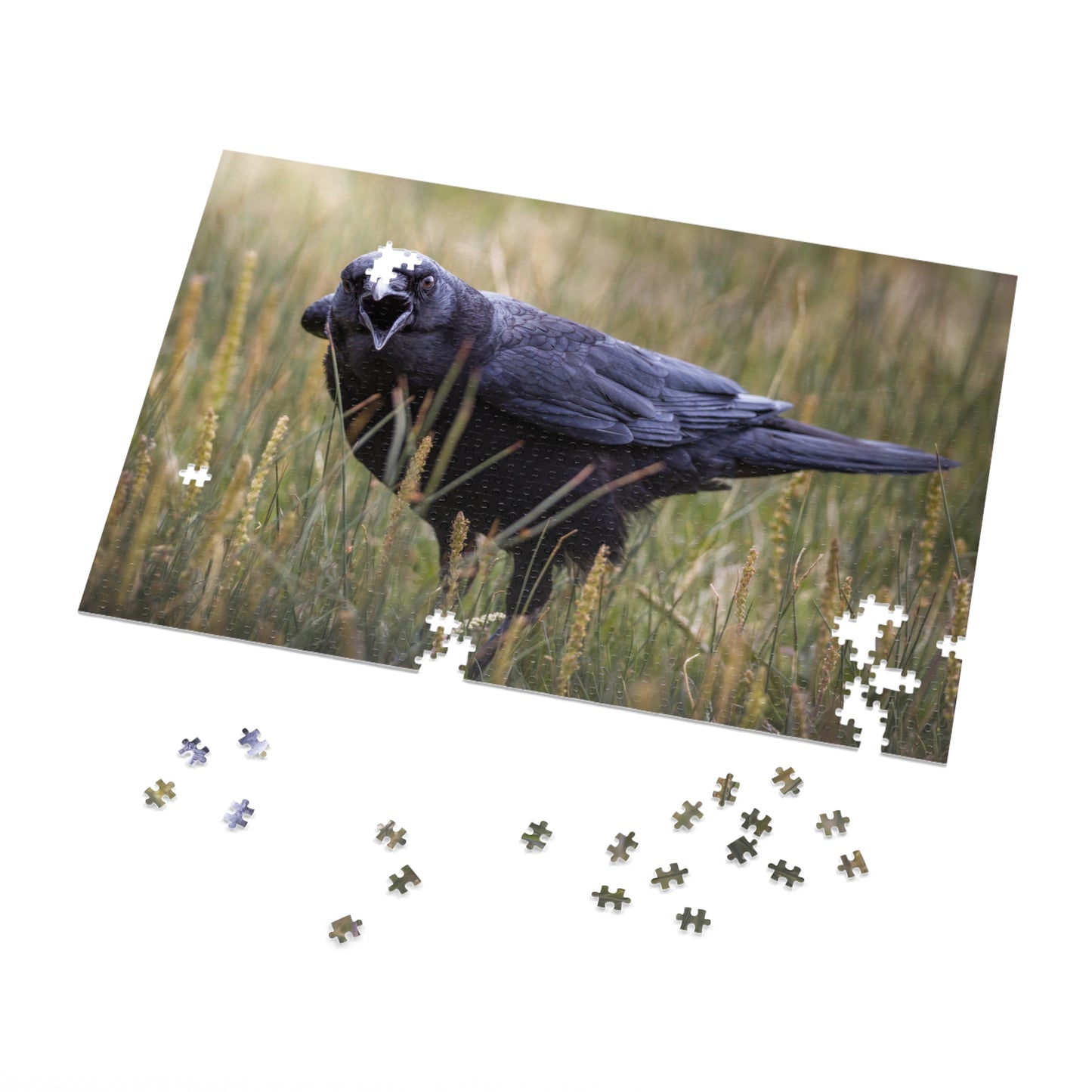 "SCAVENGER CALL" RAVEN - PUZZLE