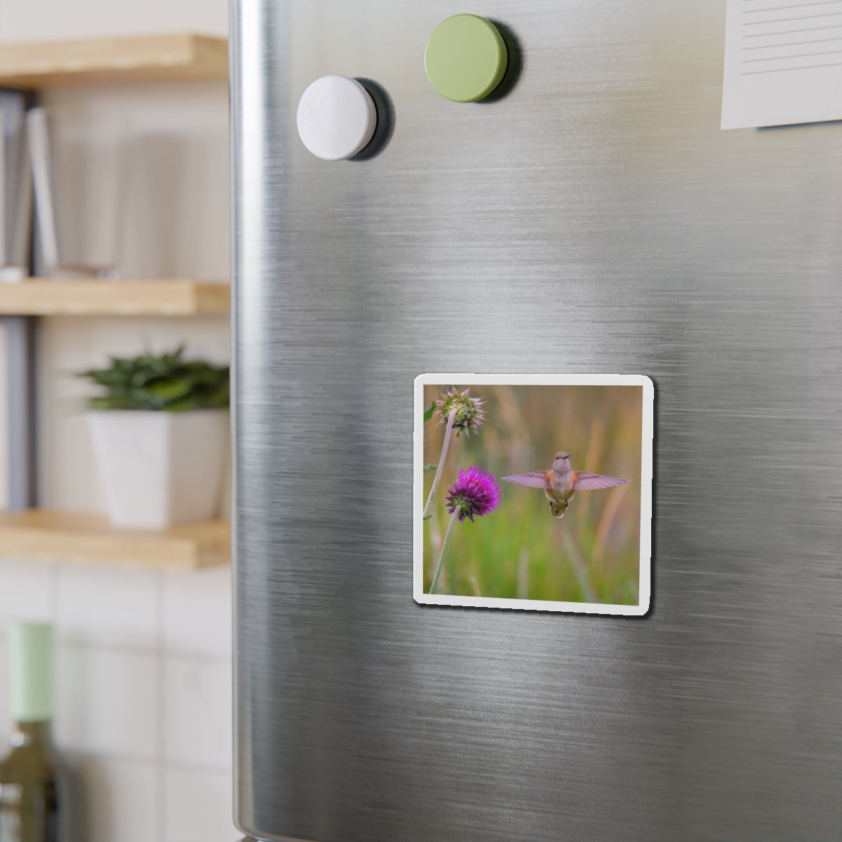 "THISTLE WINGS" Photo Magnet