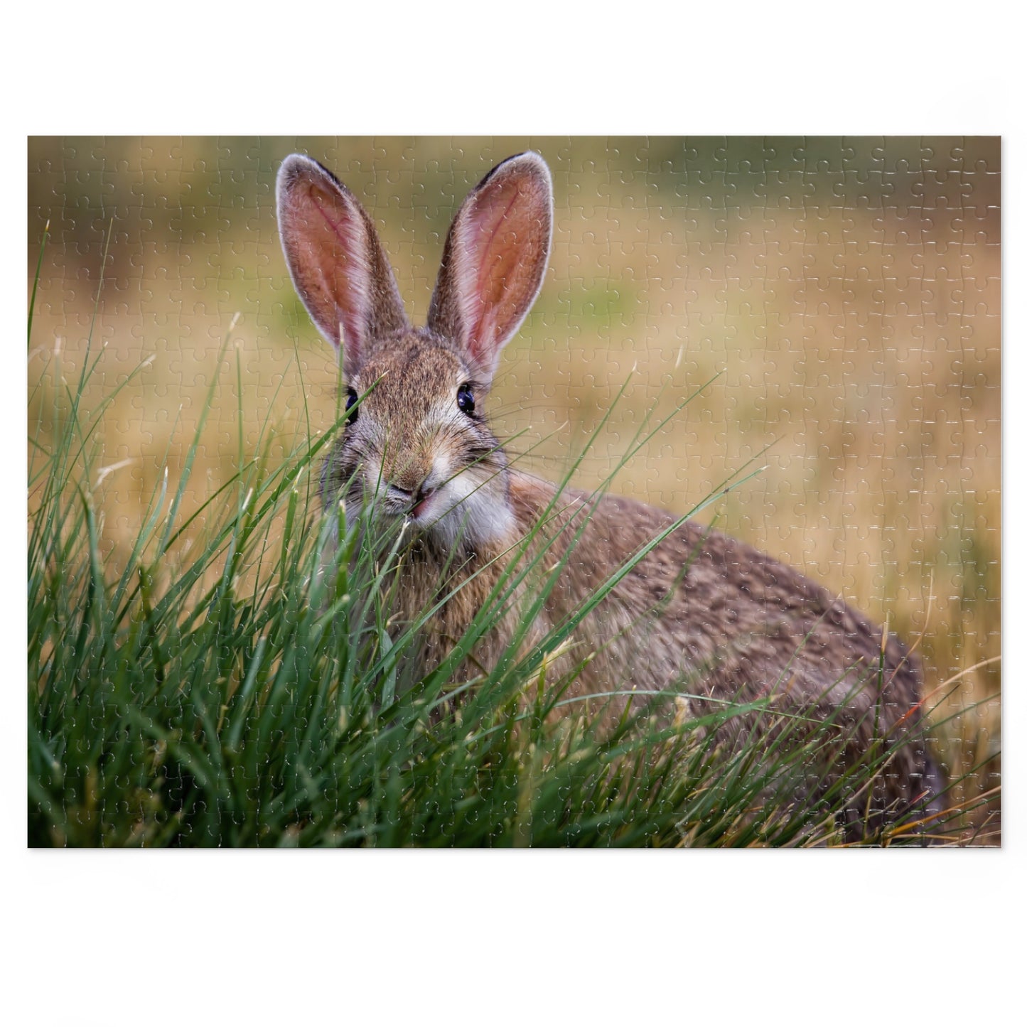 "FUNNY FACE" COTTONTAIL BUNNY - PUZZLE