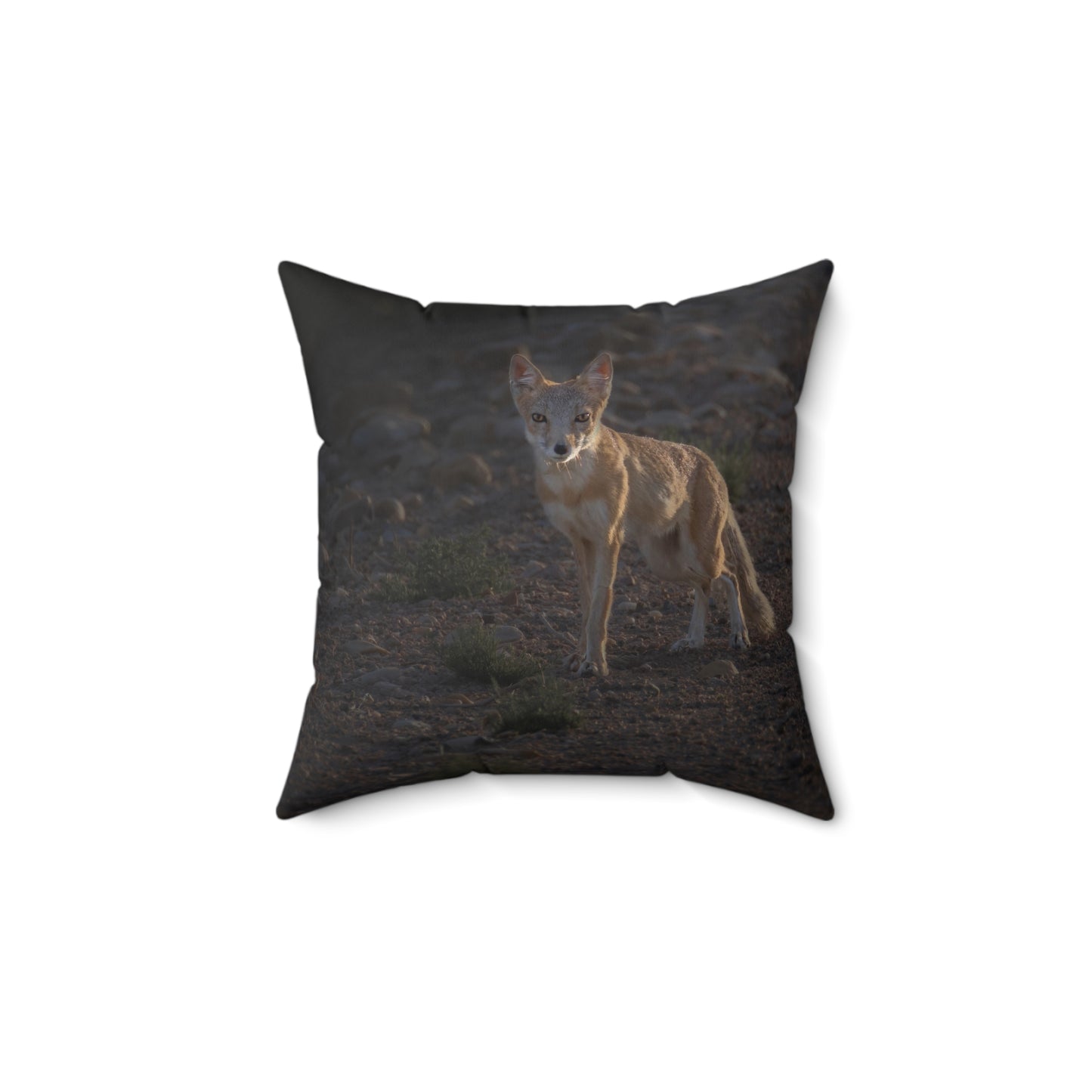 "AGLOW" Swift Fox Photo Pillow