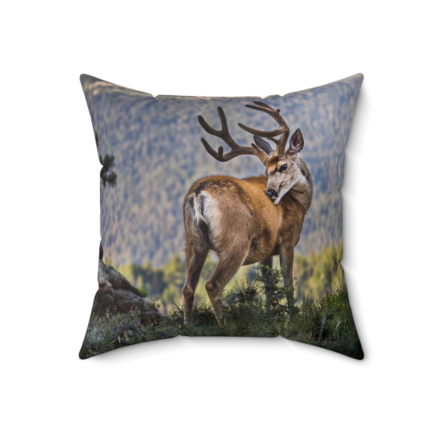 "BACKDROP ITCH" Mule Deer Buck Photo Pillow