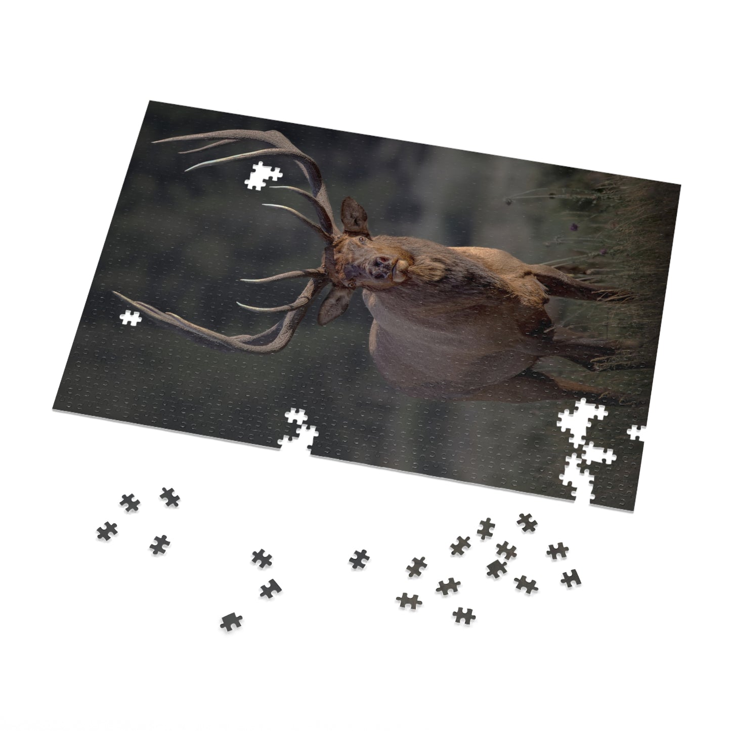 "ATTENTION GETTER" BULL ELK - PUZZLE