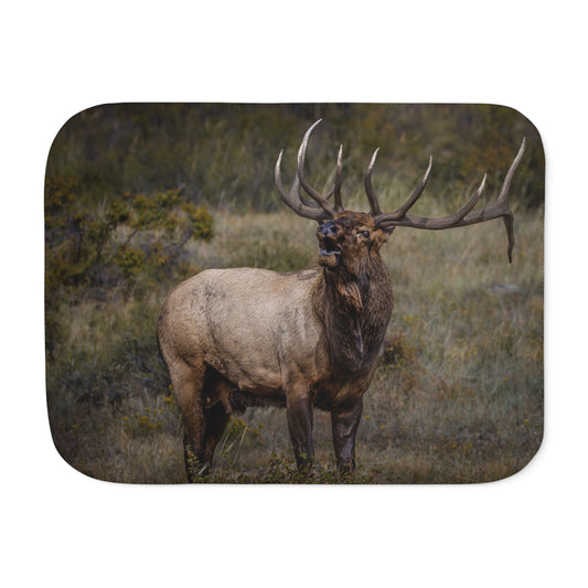 "BEAMER" BULL ELK - SHERPA BLANKET