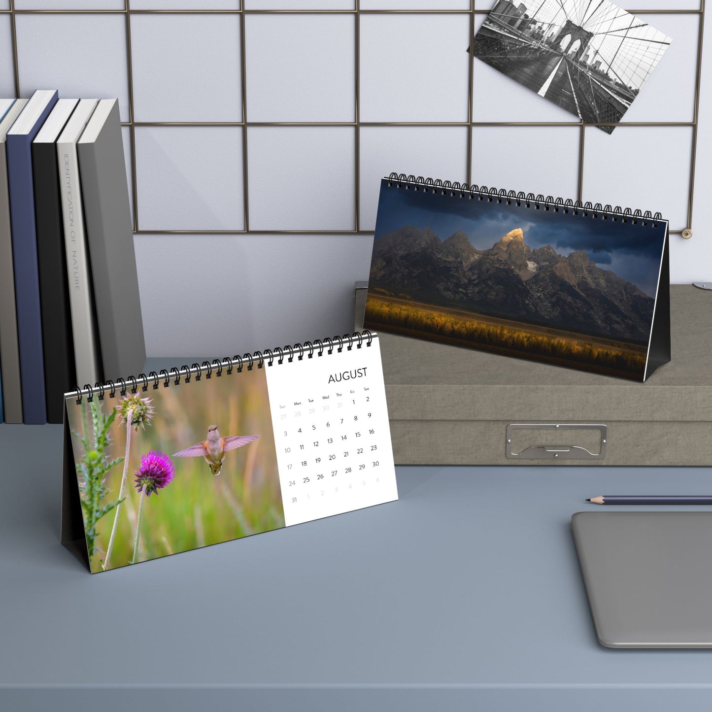 IN SEARCH OF WILD NATURE & WILDLIFE 2025 Desk Calendars