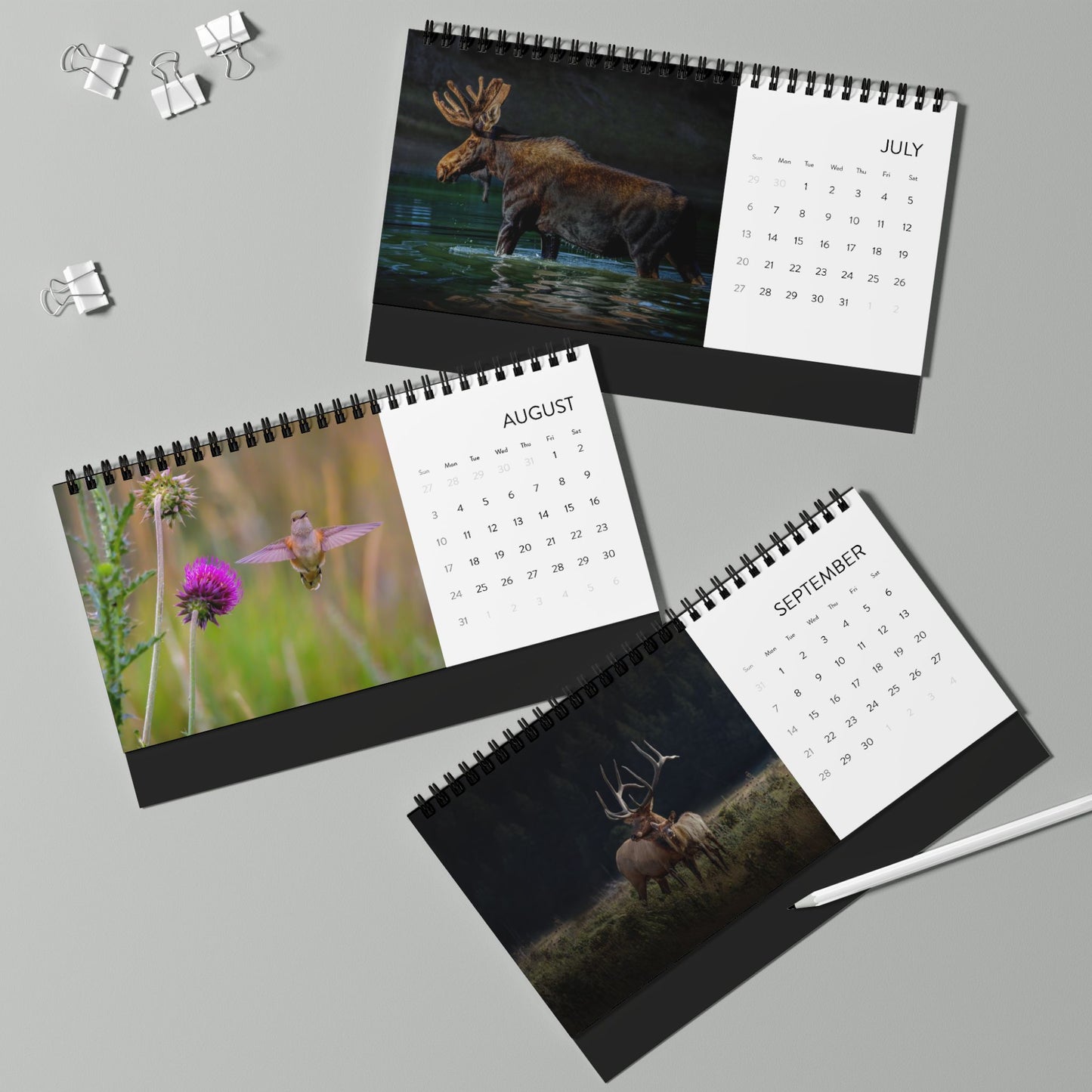 IN SEARCH OF WILD NATURE & WILDLIFE 2025 Desk Calendars