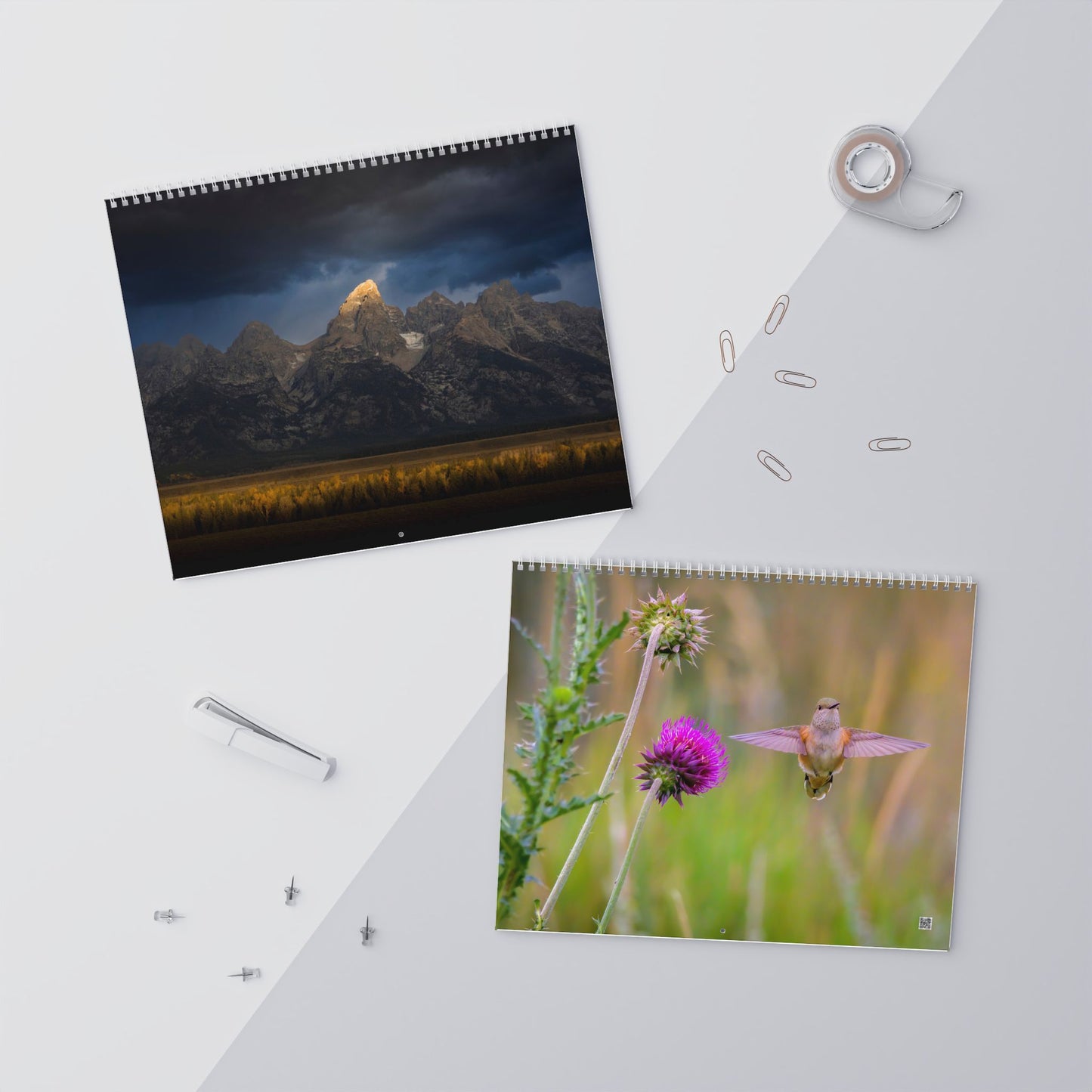 IN SEARCH OF WILD NATURE & WILDLIFE 2025 Wall Calendars