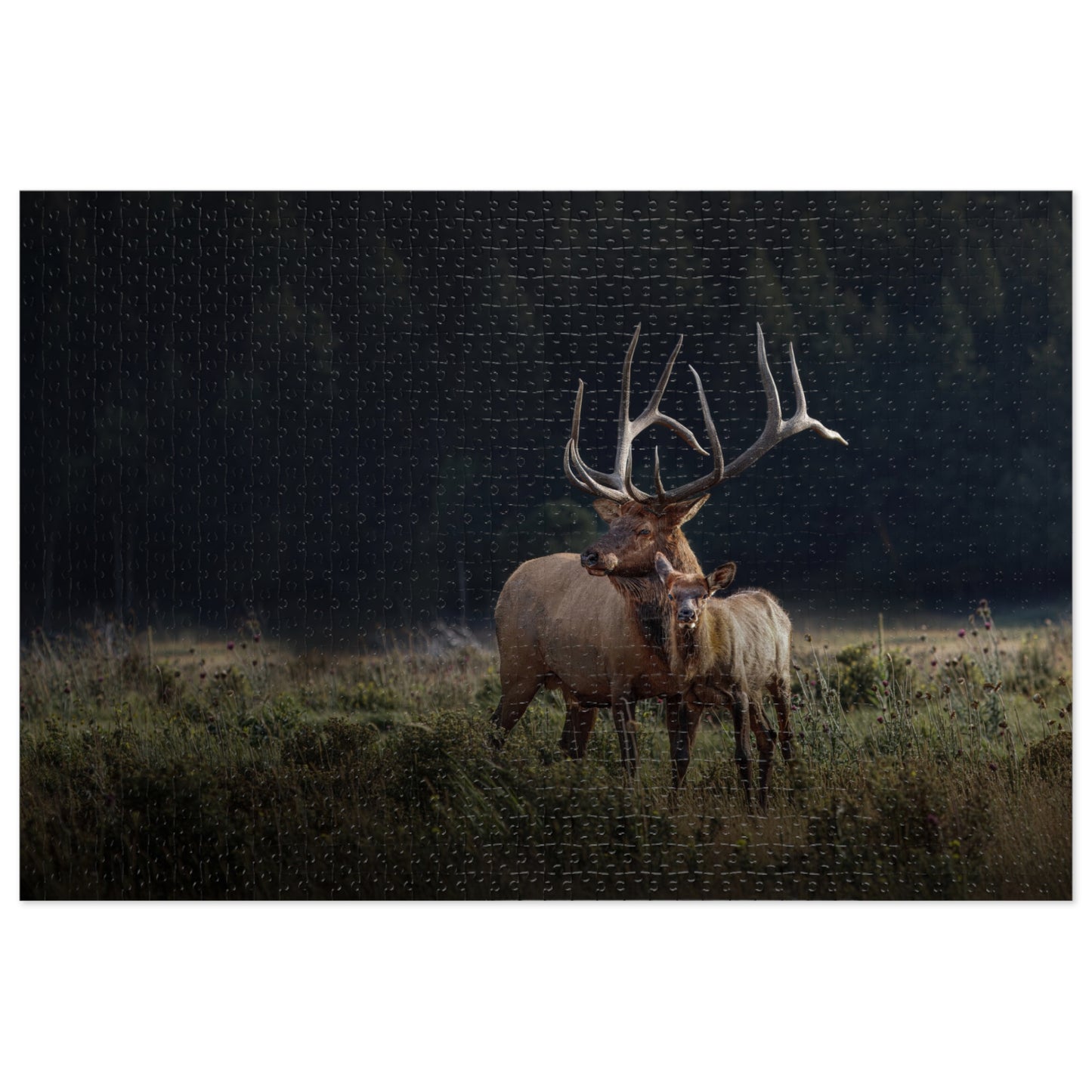 "GENERATIONS" BULL ELK - PUZZLE