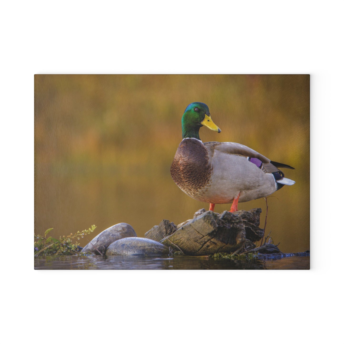 SNAKE RIVER DRAKE Glass Cutting Board