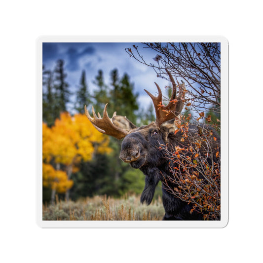 "PEEK A MOOSE" Photo Magnet