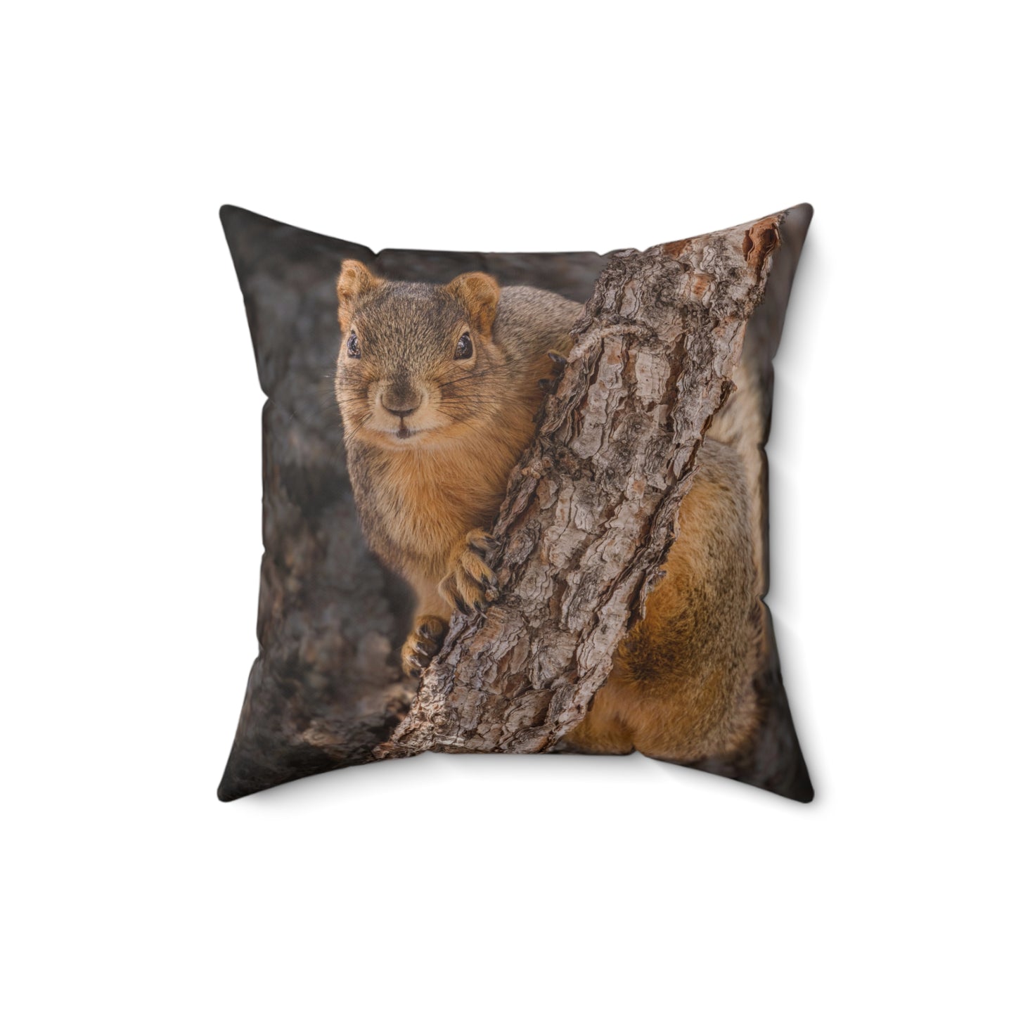 "CUTE ATTITUDE" Squirrel Photo Pillow