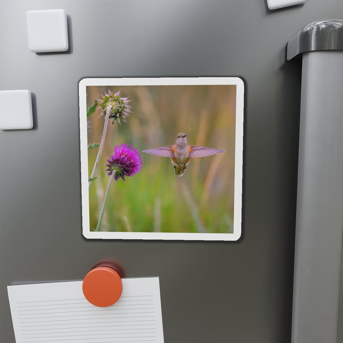 "THISTLE WINGS" Photo Magnet