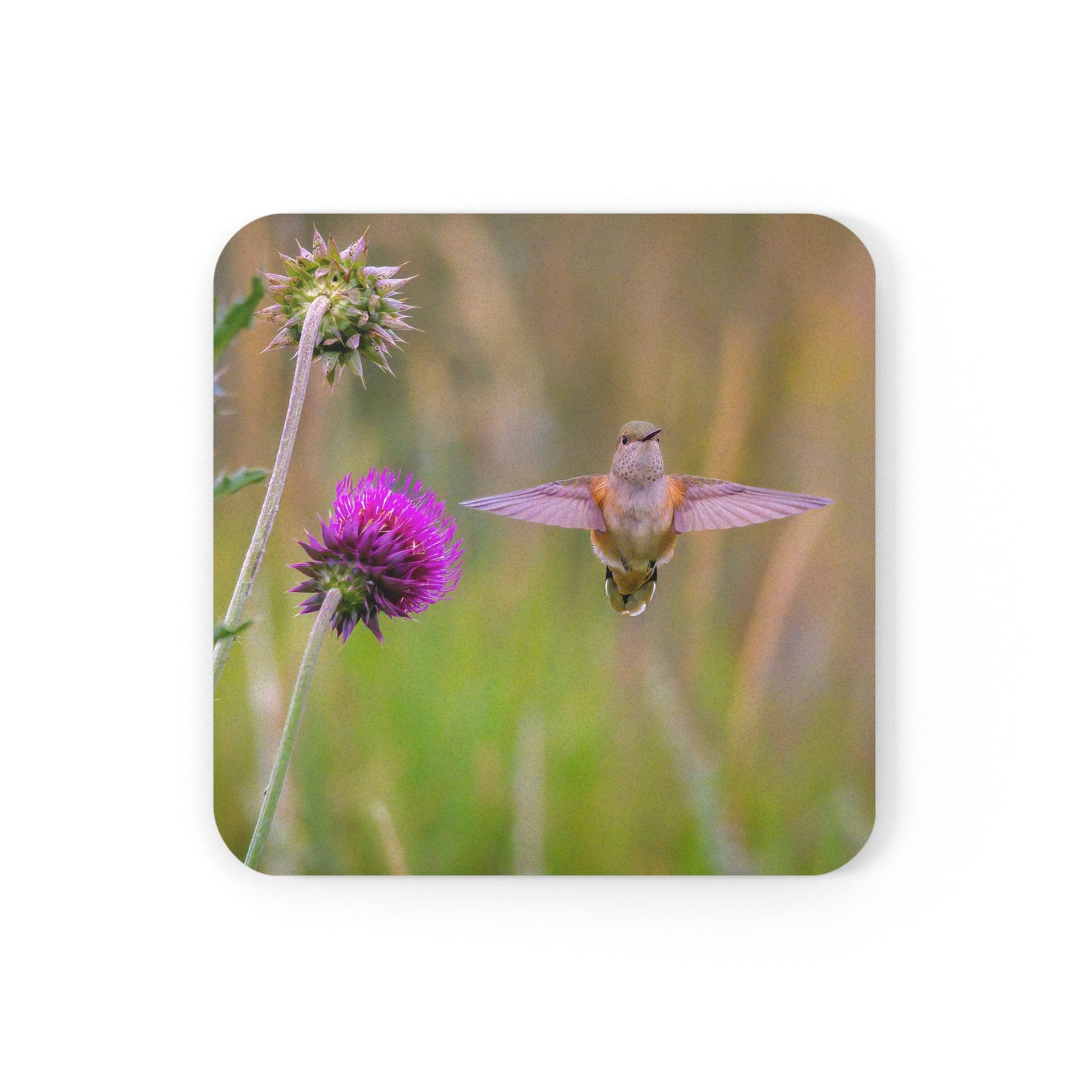 "THISTLE WINGS" Hummingbird Photo Coaster