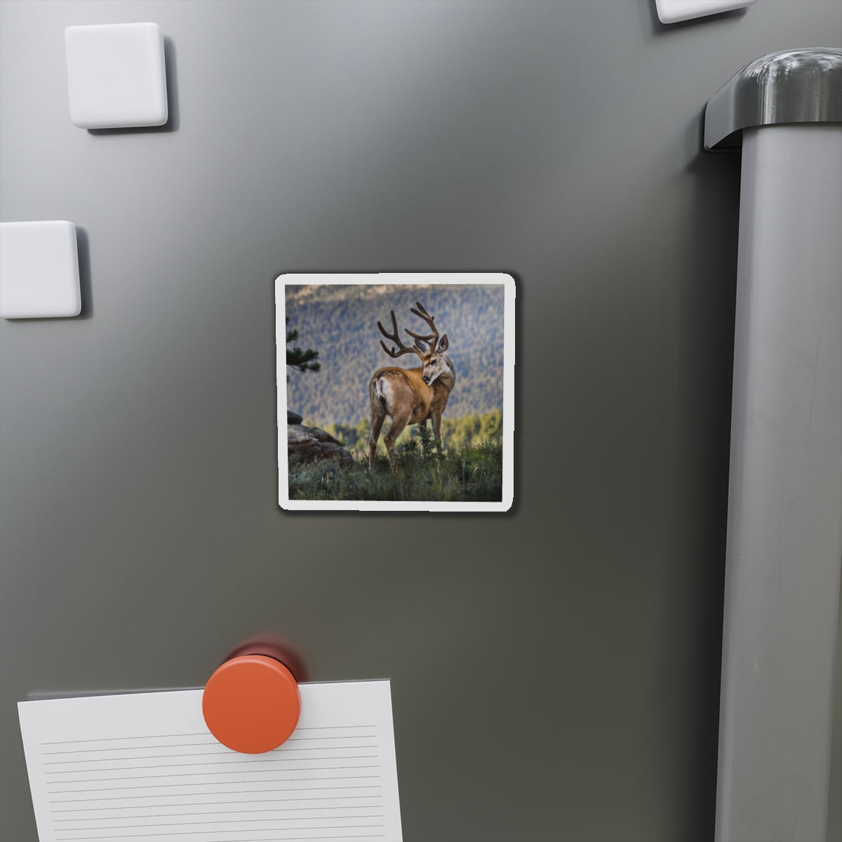 "BACKDROP ITCH" Photo Magnet