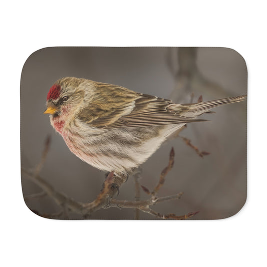 "WINTER RED" REDPOLL FINCH - SHERPA BLANKET