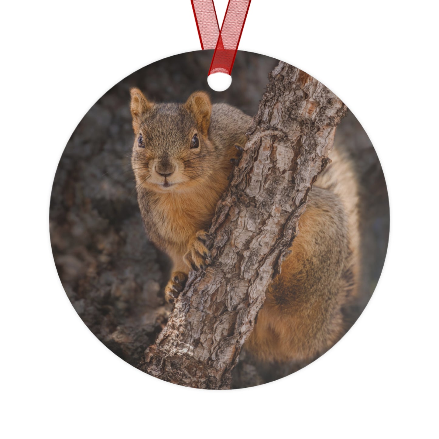 "CUTE ATTITUDE" Squirrel - Metal Christmas Tree Ornament