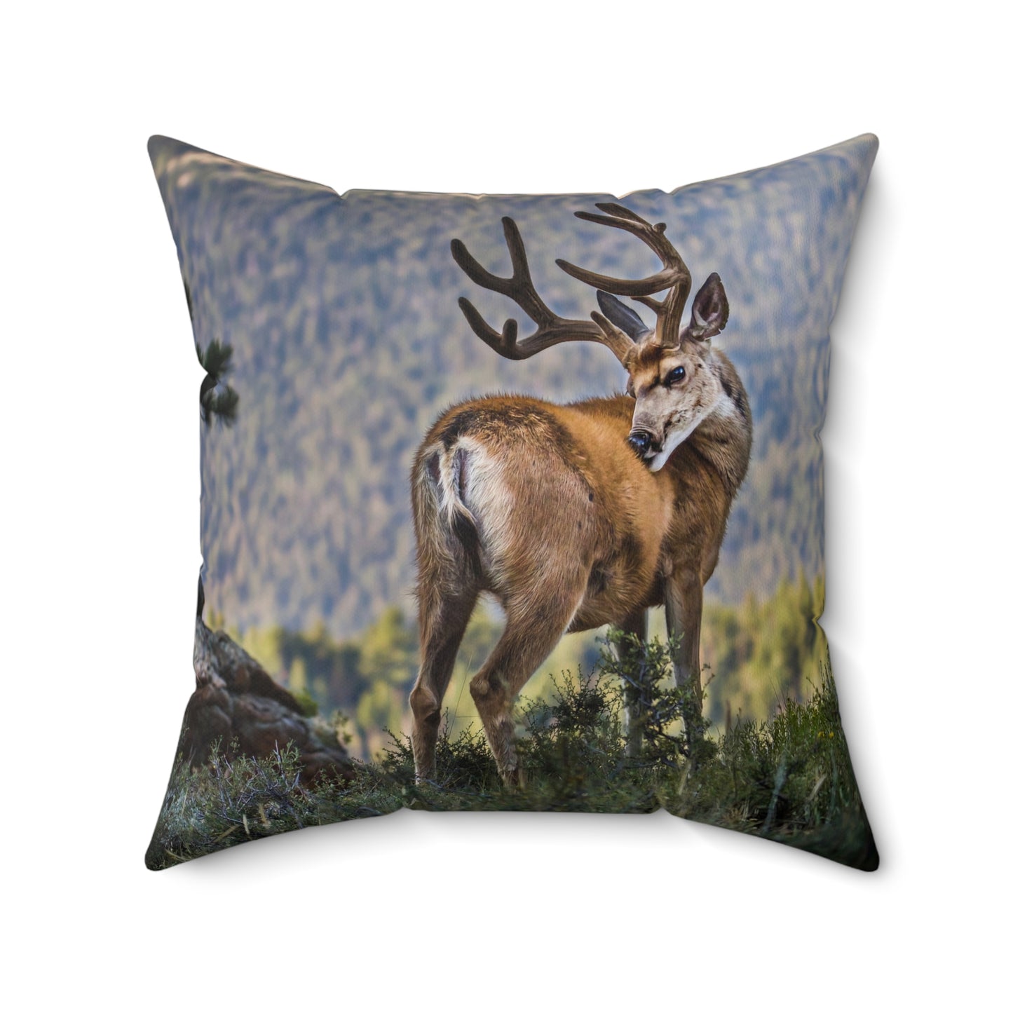 "BACKDROP ITCH" Mule Deer Buck Photo Pillow