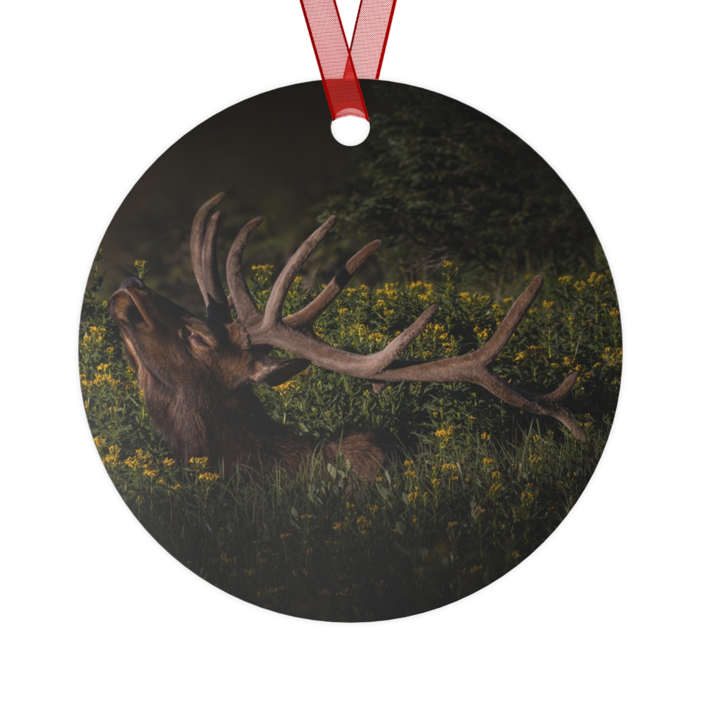 "WILDFLOWER SUNBATH" Bull Elk - Metal Christmas Tree Ornament