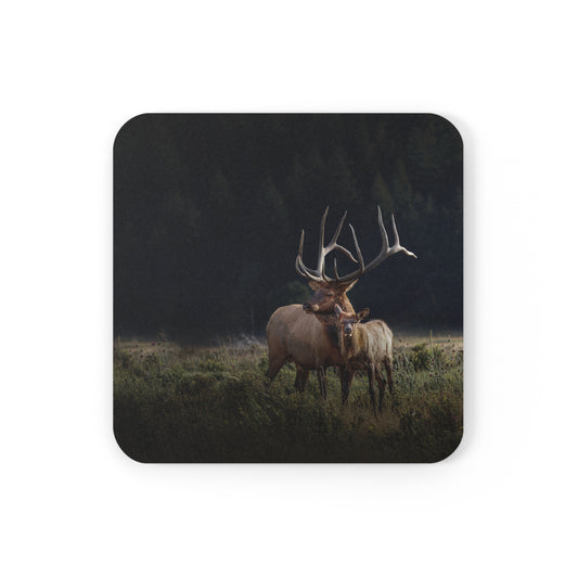 "GENERATIONS" Bull Elk Photo Coaster