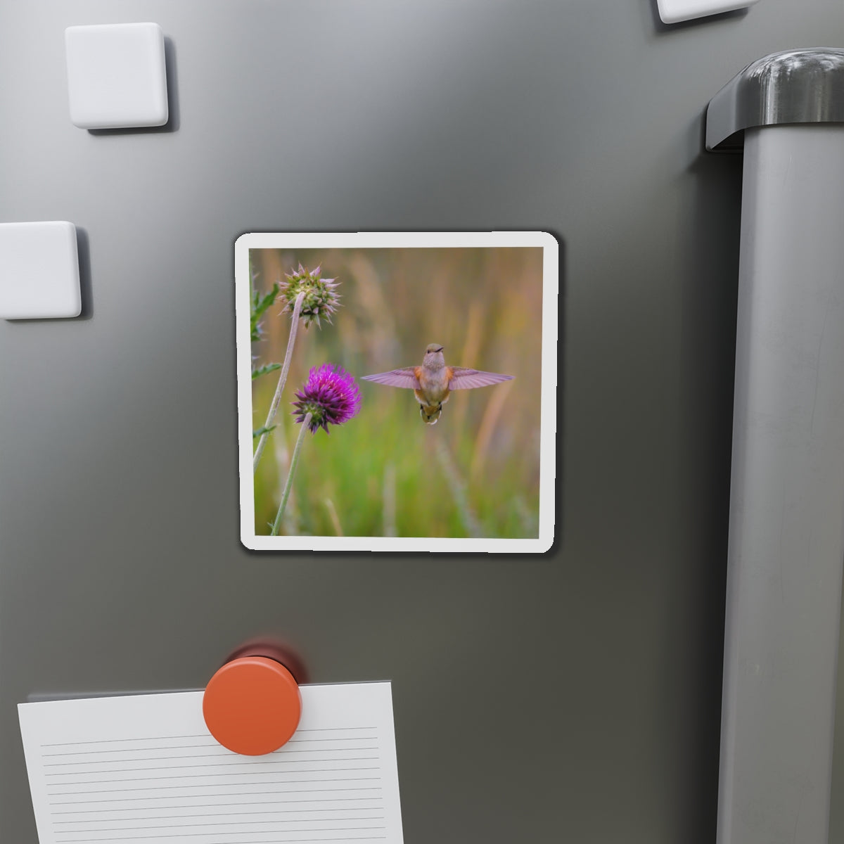 "THISTLE WINGS" Photo Magnet