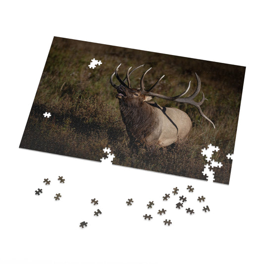 "SPLIT DECISION" BULL ELK - PUZZLE