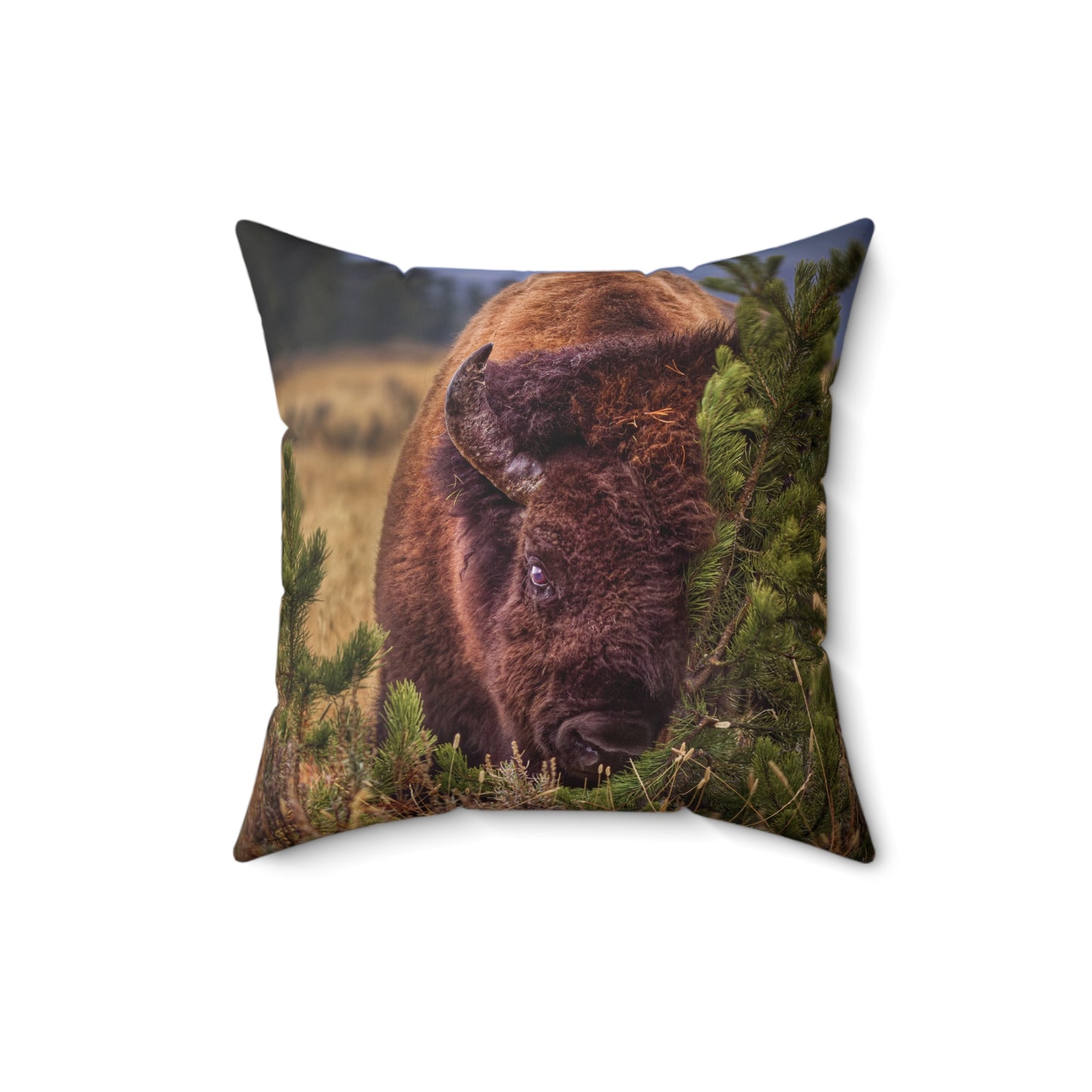 "RUBBIN" Bison Photo Pillow