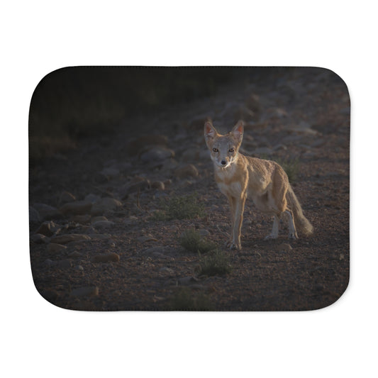 "AGLOW" SWIFT FOX - SHERPA BLANKET