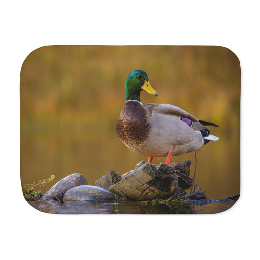 "SNAKE RIVER DRAKE" MALLARD DUCK - SHERPA BLANKET