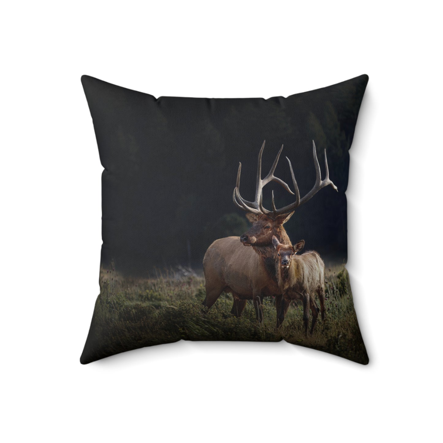 "GENERATIONS" Bulle Elk Photo Pillow