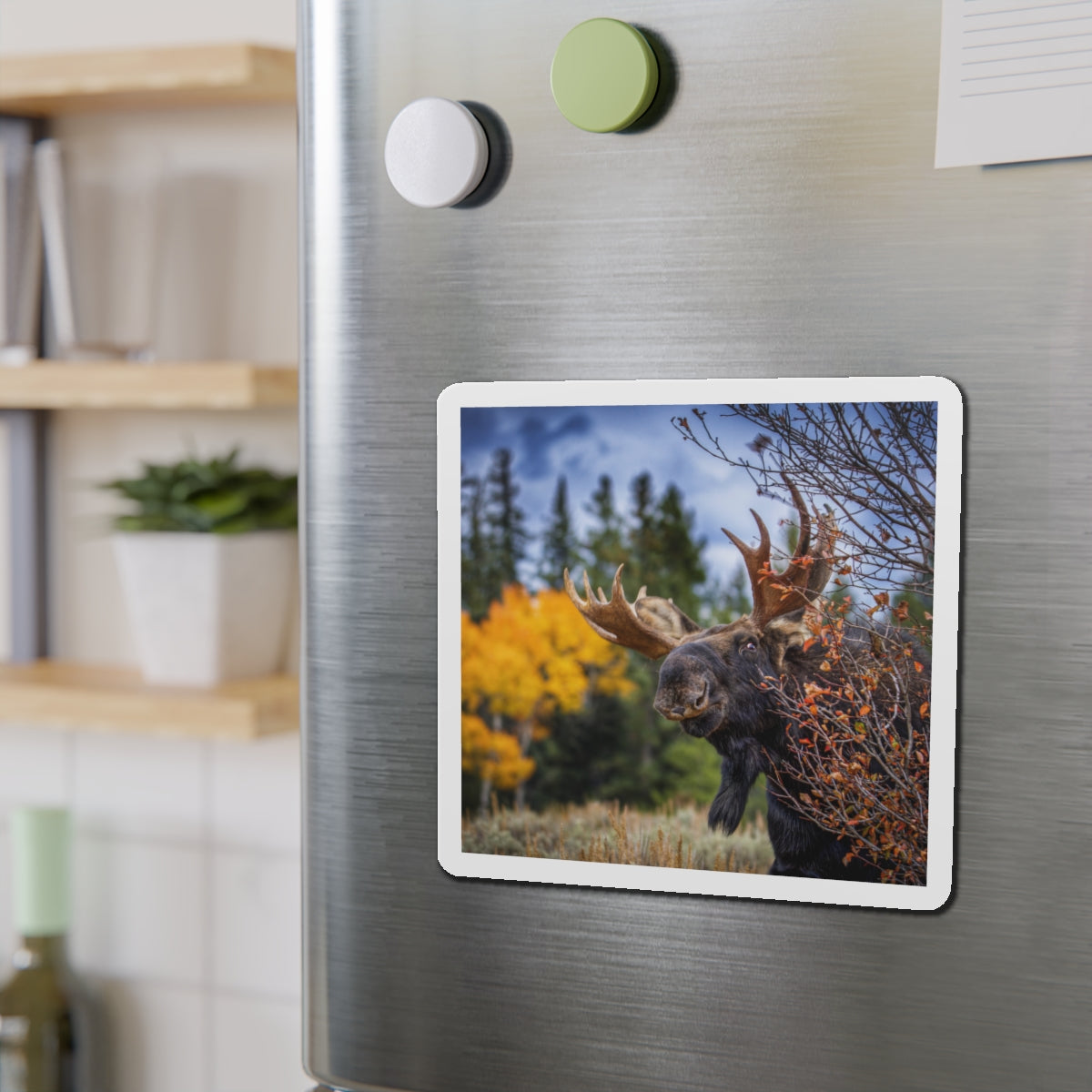 "PEEK A MOOSE" Photo Magnet