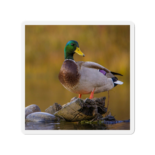 "SNAKE RIVER DRAKE" Photo Magnet