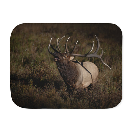 "SPLIT DECISION" BULL ELK - SHERPA BLANKET