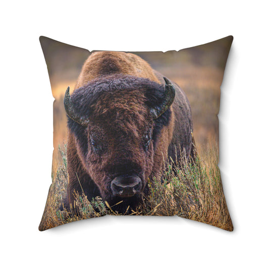 "MISTY MORNING" Bison Photo Pillow