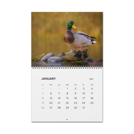 IN SEARCH OF WILD NATURE & WILDLIFE 2025 Wall Calendars