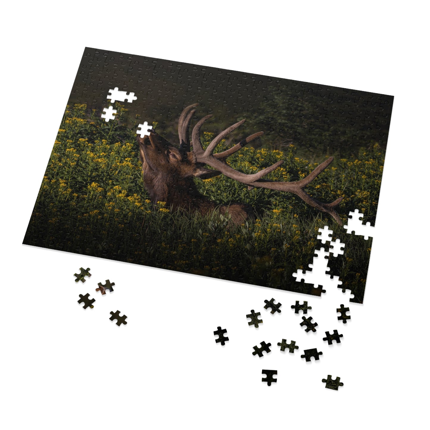 "WILDFLOWER SUNBATH" BULL ELK - PUZZLE