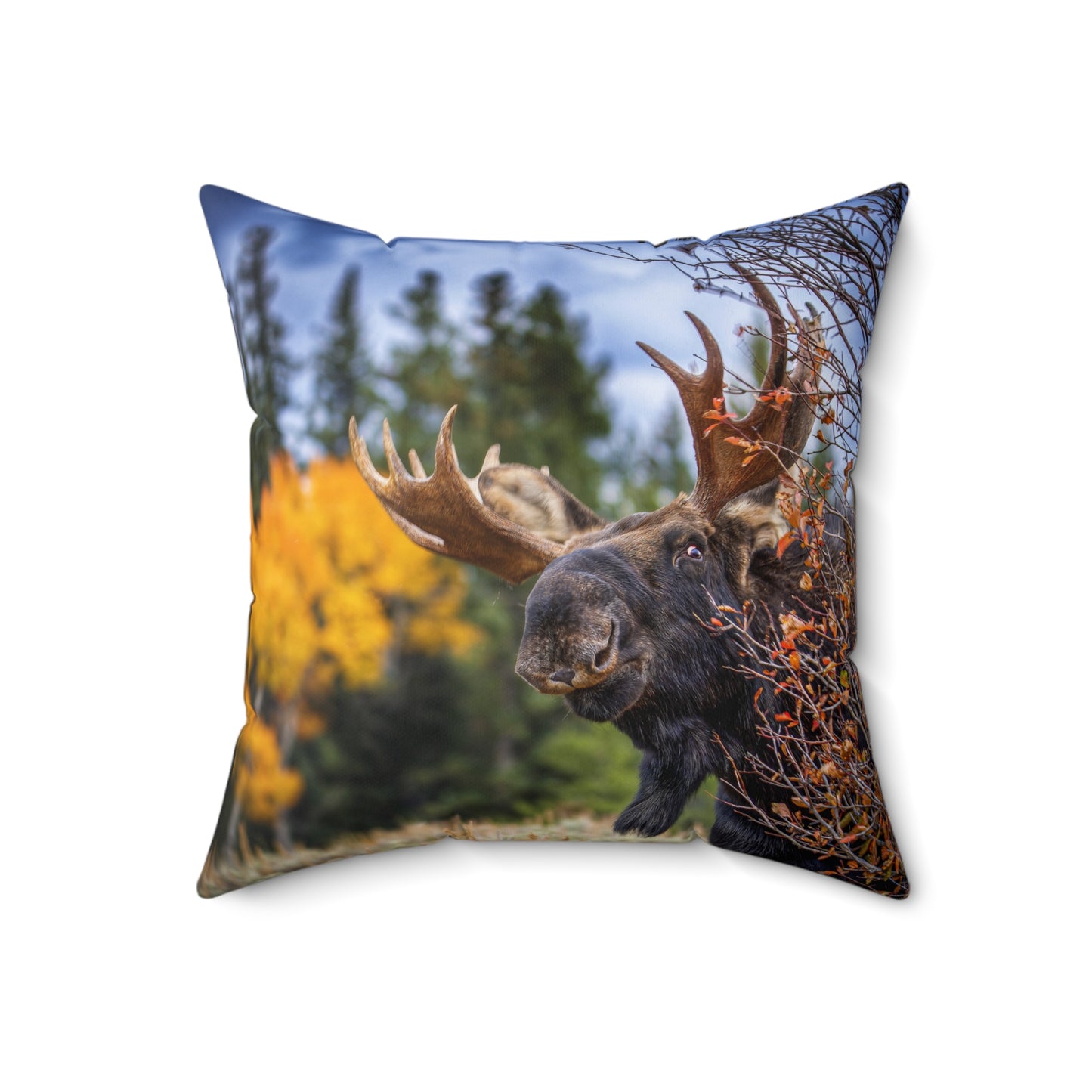 "PEEK A MOOSE" Bull Moose Photo Pillow