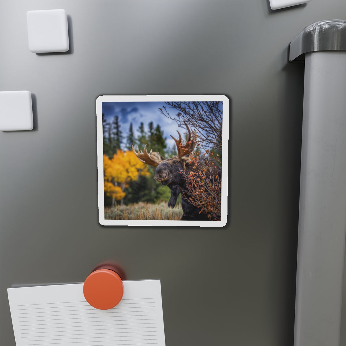 "PEEK A MOOSE" Photo Magnet