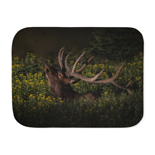 "WILDFLOWER SUNBATH" BULL ELK - SHERPA BLANKET