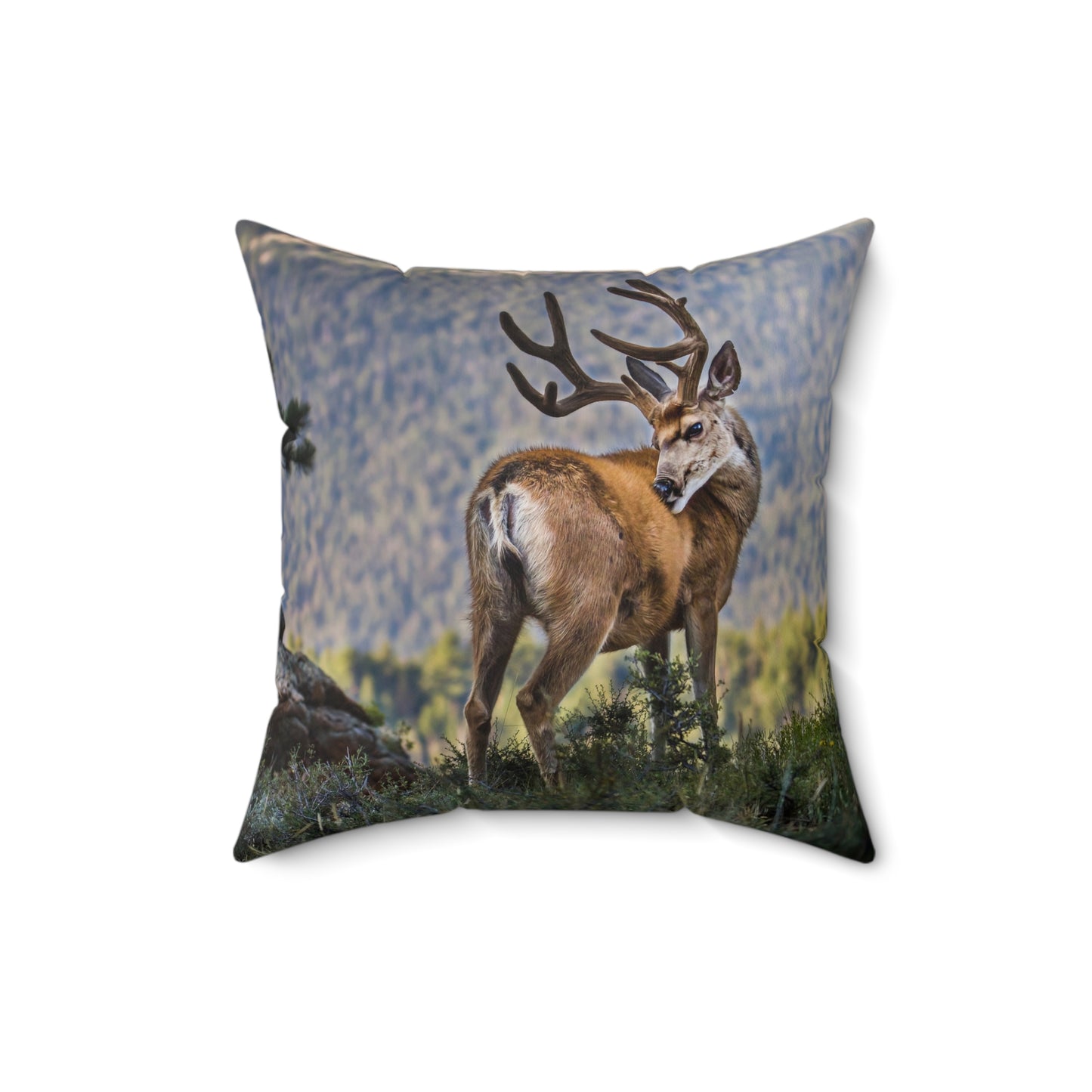 "BACKDROP ITCH" Mule Deer Buck Photo Pillow