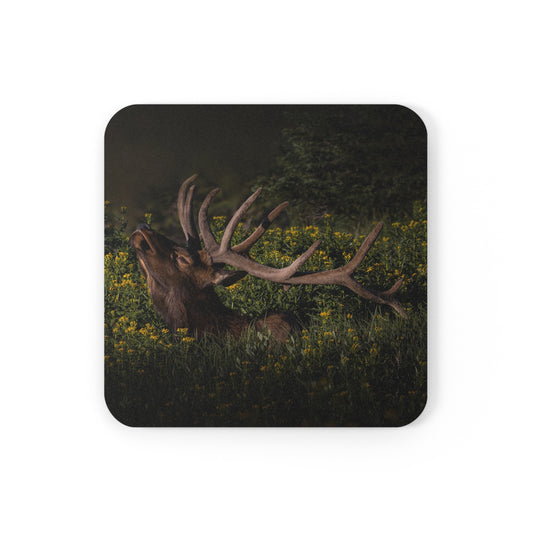 "WILDFLOWER SUNBATH" Bull Elk Photo Coaster